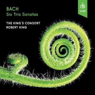 J.S. Bach: Six Trio Sonatas after BWW 525-530 (arr. Robert King) - The King`s Consort / King, Robert